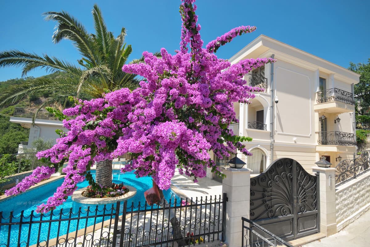 Villa, privézwembad (Check-in 2 PM) | Privézwembad