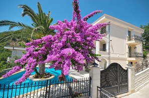 Villa - privat pool (Check-in 2 PM) | Privat pool