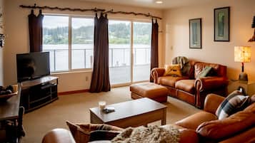 Smart TV, DVD player, books