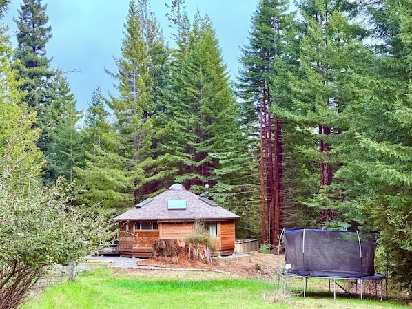A small wooden cabin surrounded by dense forest, with a trampoline in the foreground.