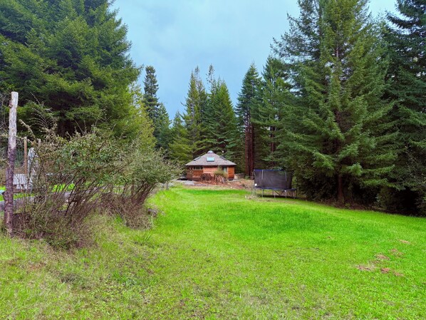 A cabin surrounded by dense forest, with a clear sky. - Airstream in the Redwoods, near River and Beaches w/ Hot Tub, Wifi, privacy... (Arcata)