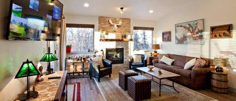 Smart TV, fireplace, DVD player, books
