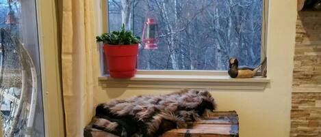 Un coin douillet avec un coffre en bois, une fenêtre donnant sur des arbres, une plante en pot rouge et un objet décoratif en forme de panda.