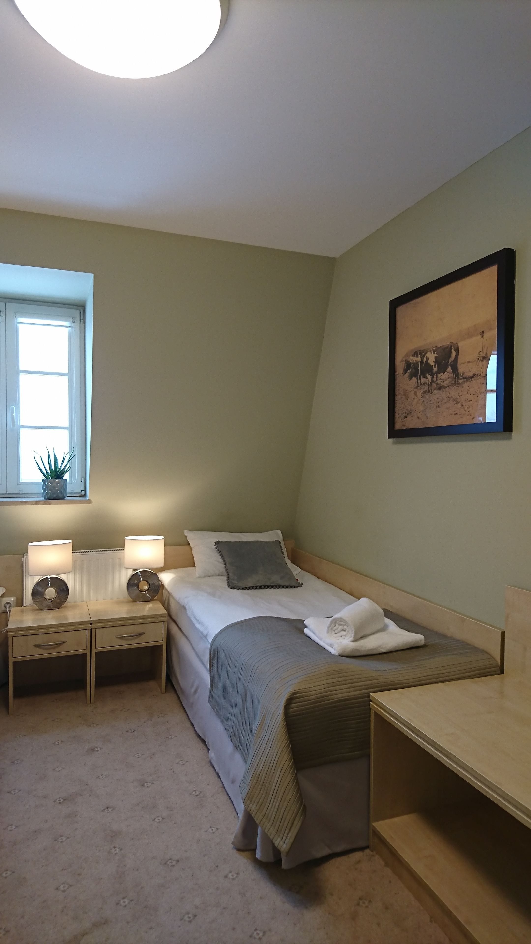 A bedroom with a bed, bedside tables, a window, a radiator, a framed picture, and a potted plant.