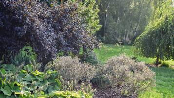 Un jardín con diversas plantas y arbustos.