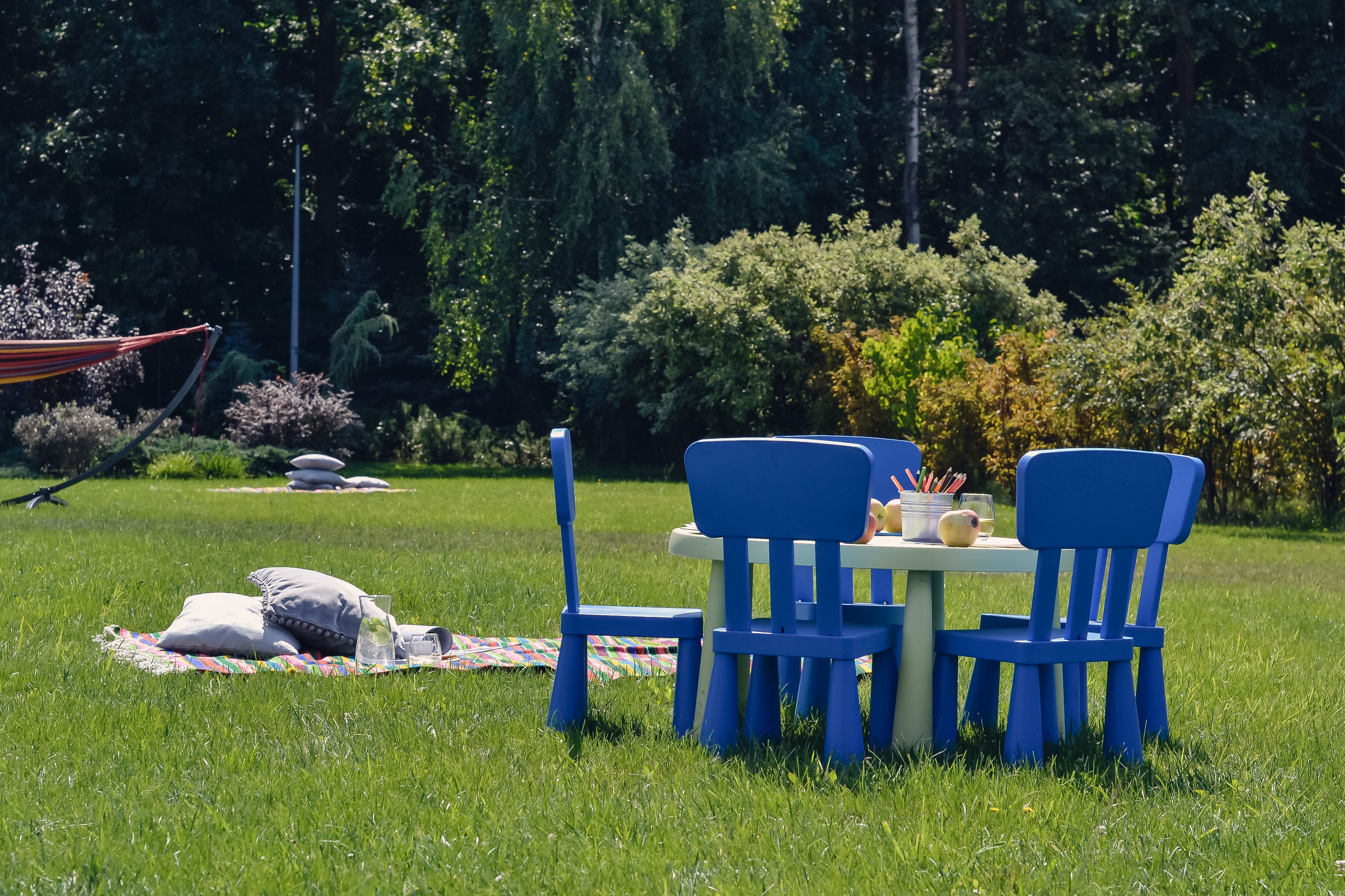En picknickplats med ett bord och stolar på en gräsyta, omgiven av träd och buskar.