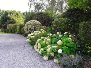 Garden - Gite l’érable (Jemeppe-sur-Sambre)