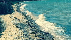 Ein Strand mit sandigem Ufer und brechenden Wellen.