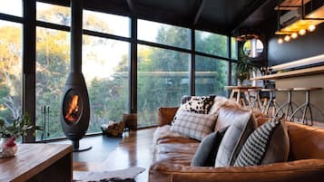 Televisión, chimenea, reproductor de DVD