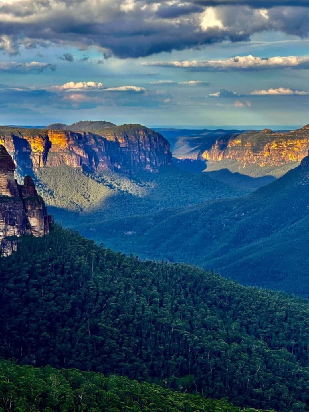 Un paisaje de cañón con acantilados escarpados y un bosque denso.