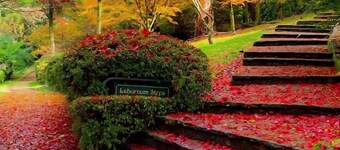 Cat On The Hat Cottage ~ MeOw MeOw ~