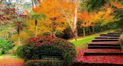 Cat On The Hat Cottage ~MeOw MeOw~
5 stars 🌟🌟🌟 🌟 🌟 😻 property
PURRRFECT