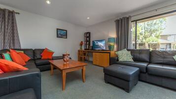 TV, Netflix, DVD player, streaming services