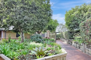 A garden with various plants and trees, a pathway, and a building with a window and a door.