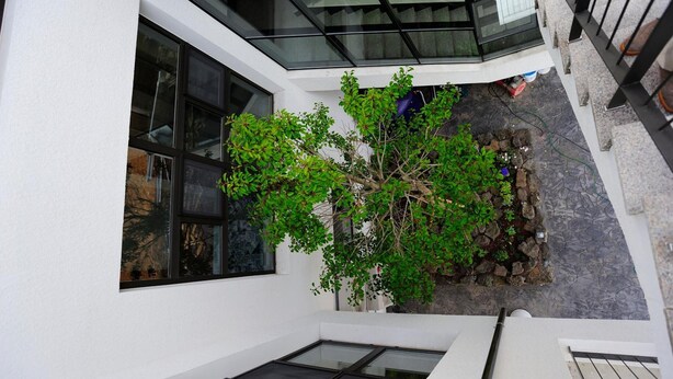 A modern building with large windows and a rooftop garden with a tree and plants.