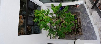 Hannah Guest House - Hostel