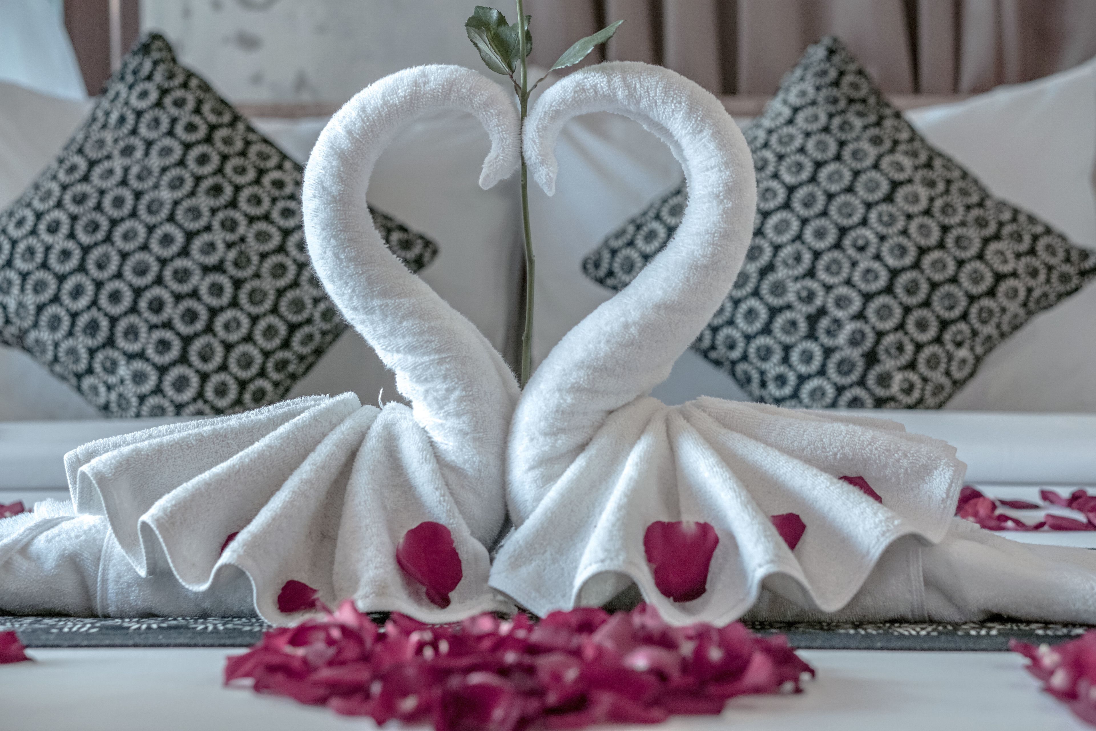 Foto - Adi Bisma Inn by Mahaputra