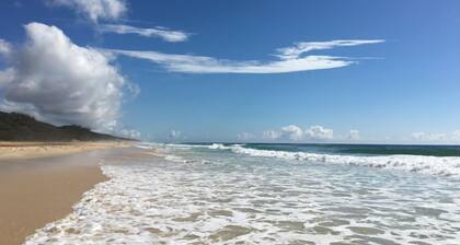 ⭐ 🐠🐠⭐ Dingosden Happy Valley⭐️🐠🐠⭐️