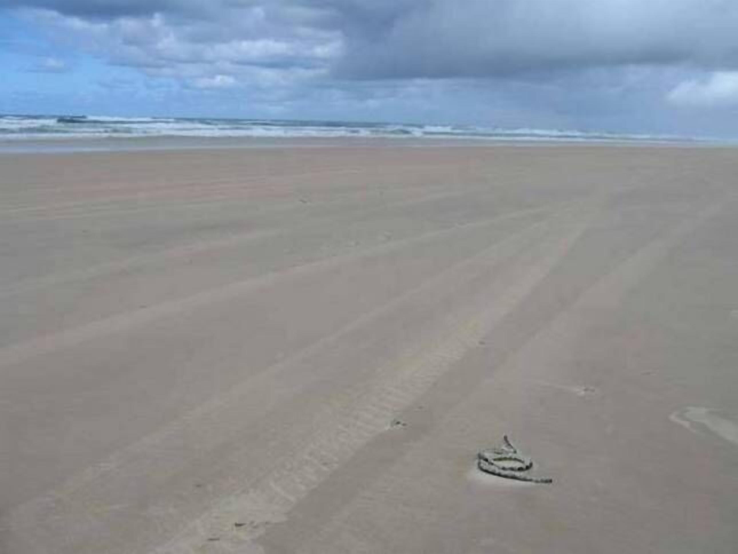Ein Strand mit einem einzelnen Boot im Sand.