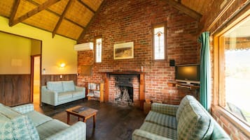 Smart TV, fireplace, books