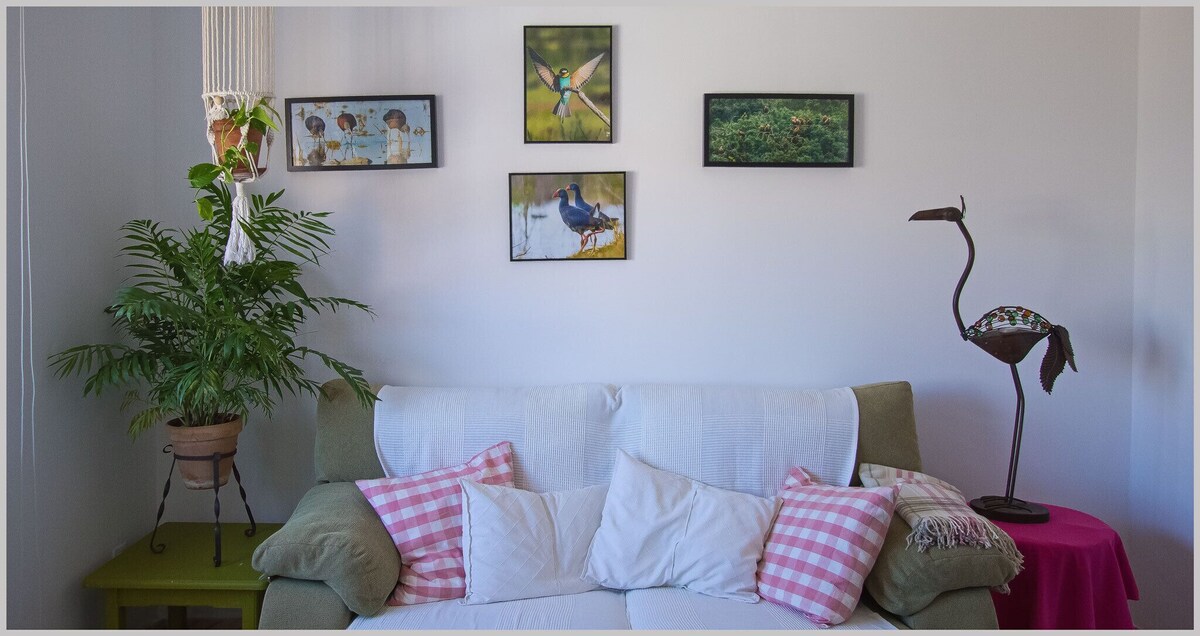 Image de profil de l’hôte