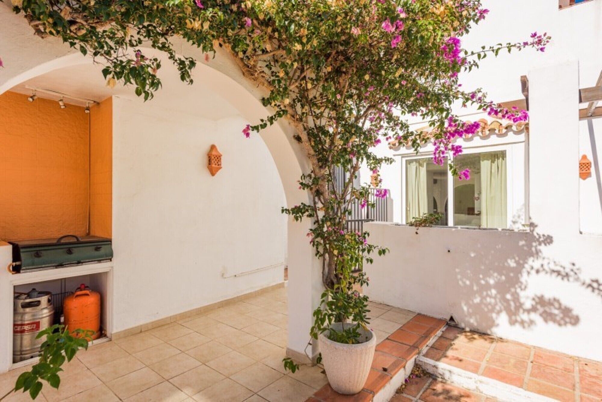 A courtyard with a potted plant, a tiled floor, and a white wall.
