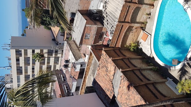 Una piscina en la azotea con vistas despejadas de los edificios circundantes y una palmera.