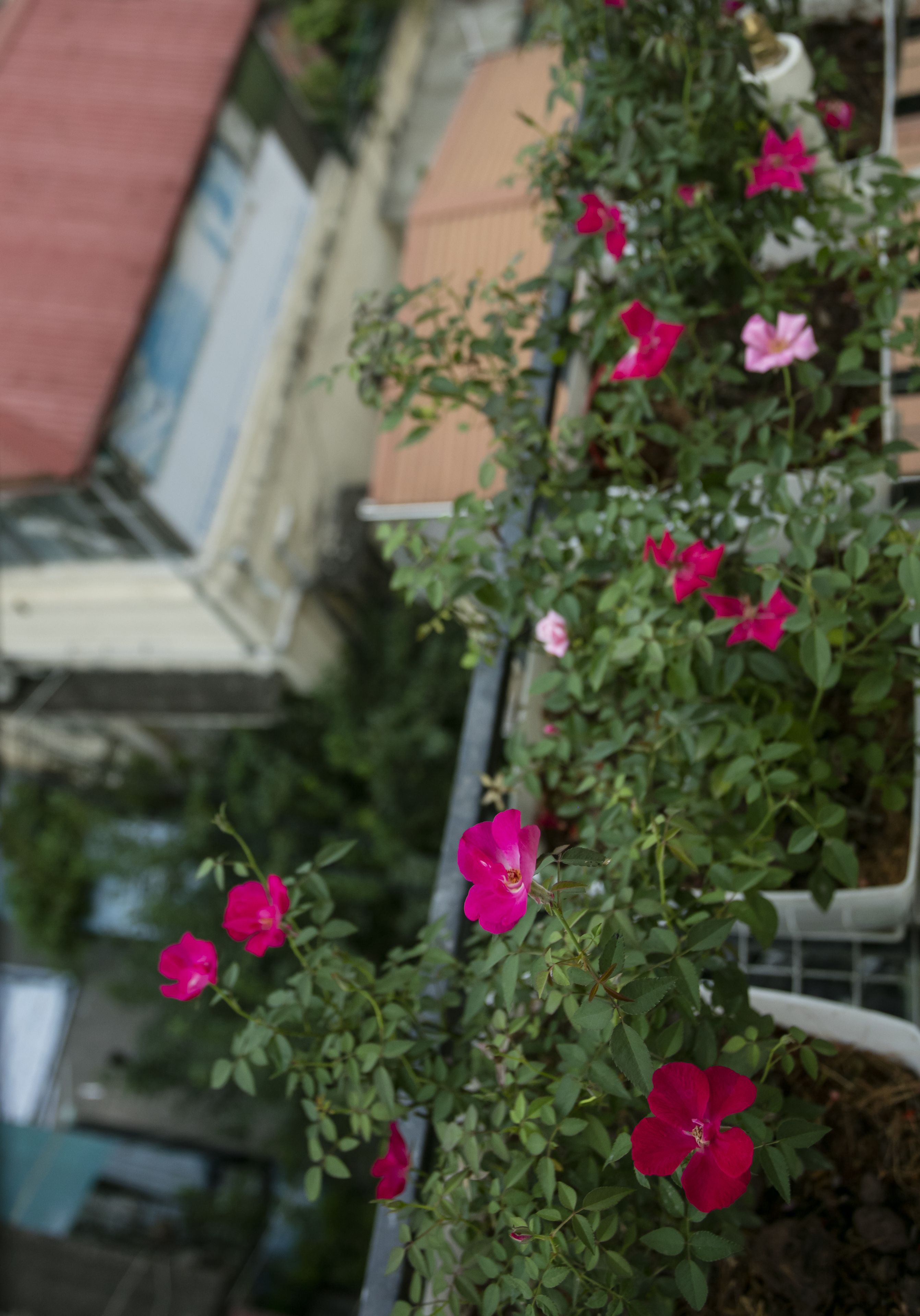 Foto - Au Coeur d'Hanoi Apartment