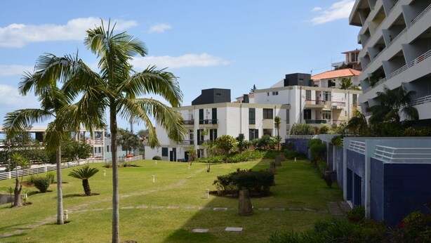 Une cour intérieure agrémentée de palmiers, un sentier et un bâtiment doté de balcons.