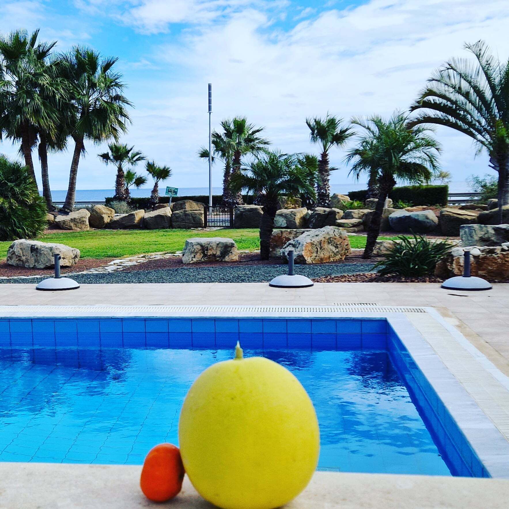 Outdoor pool, sun loungers