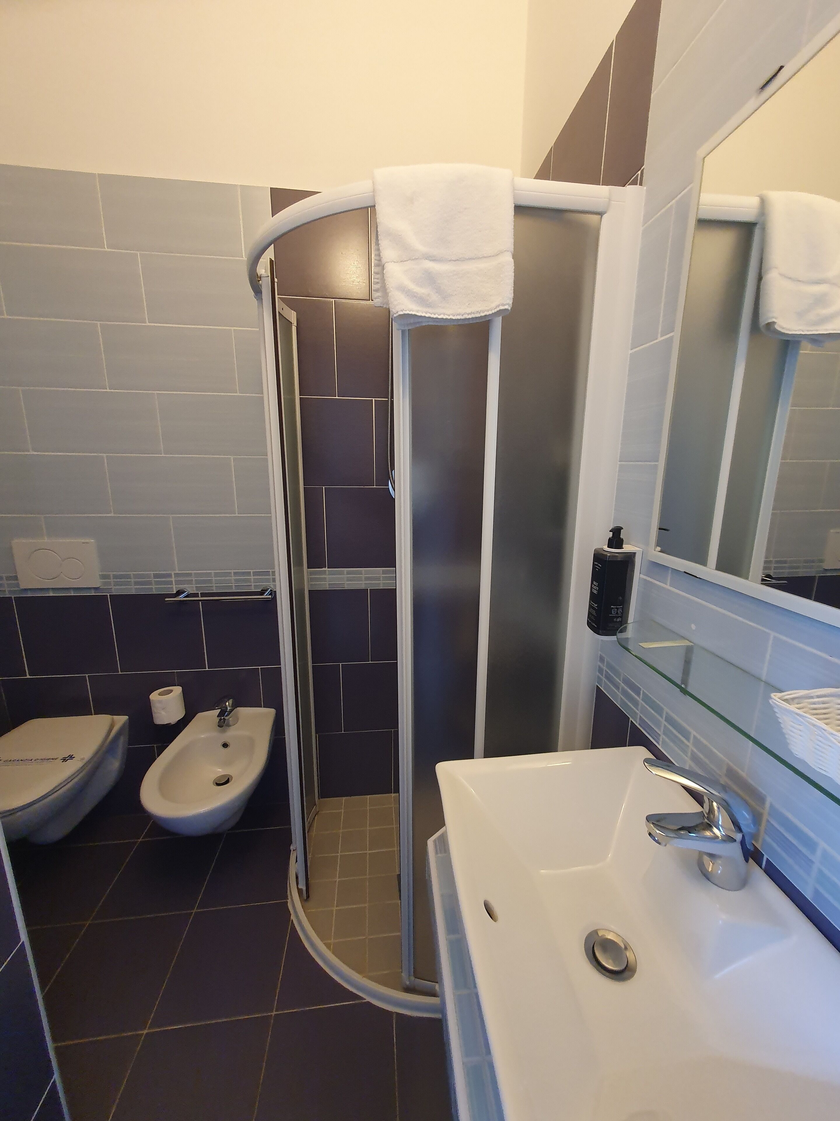 A modern bathroom with a glass shower enclosure, a bidet, and a sink with a mirror.