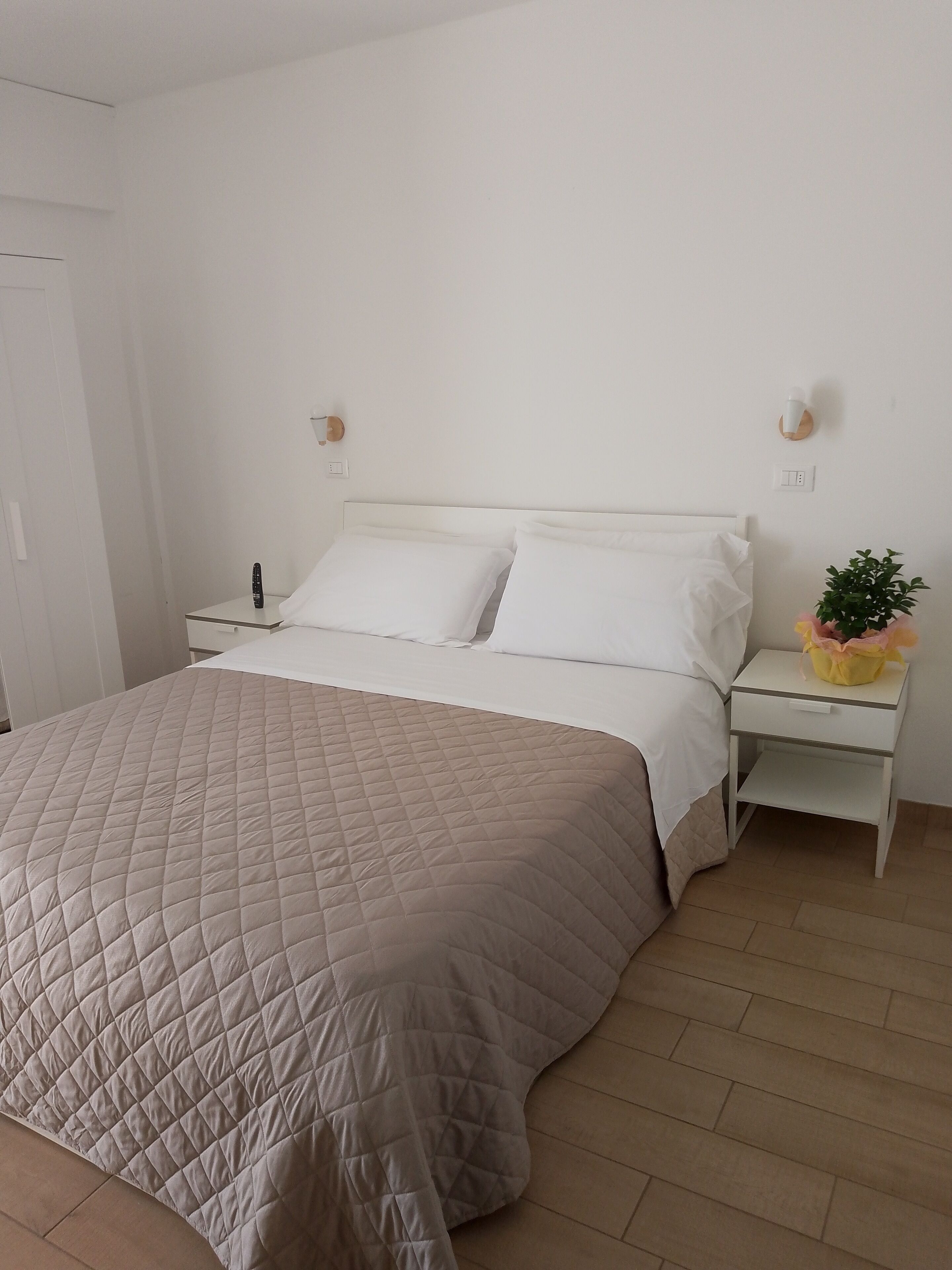 A neatly made bed with a quilted cover, a bedside table with a remote control, and a small potted plant on the nightstand.