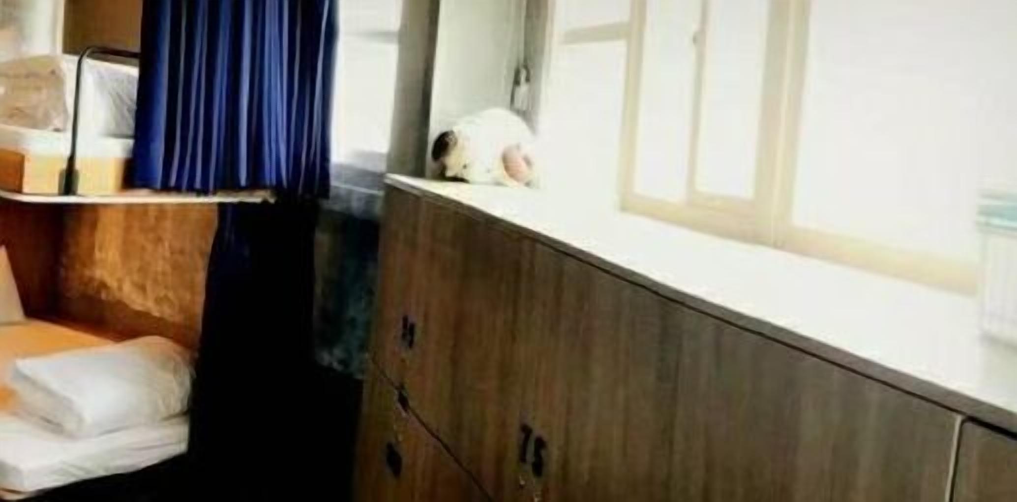 A room with a wooden cabinet, a bed with white bedding, and a window with curtains.