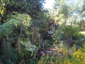 Garden - Souimanga Hôtel (Antsirabe)
