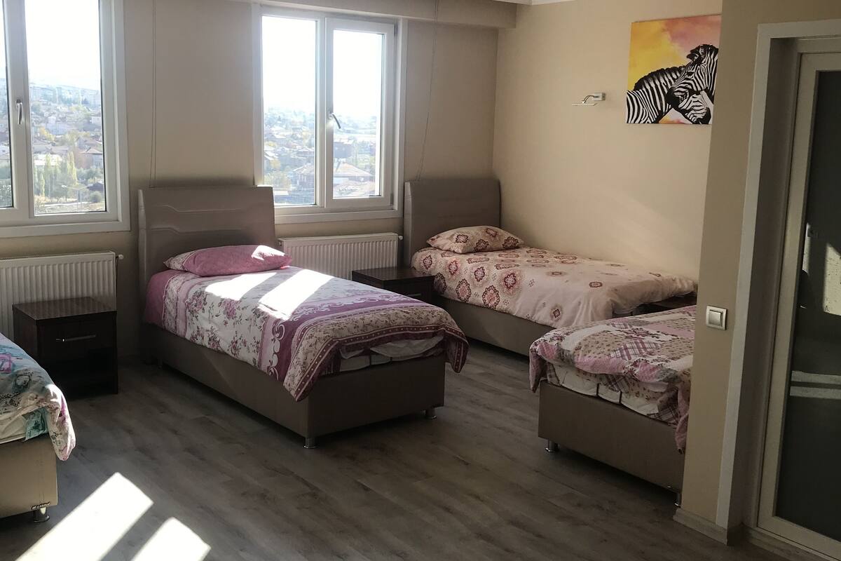 A bedroom with two beds, large windows, a radiator, and a zebra painting on the wall.