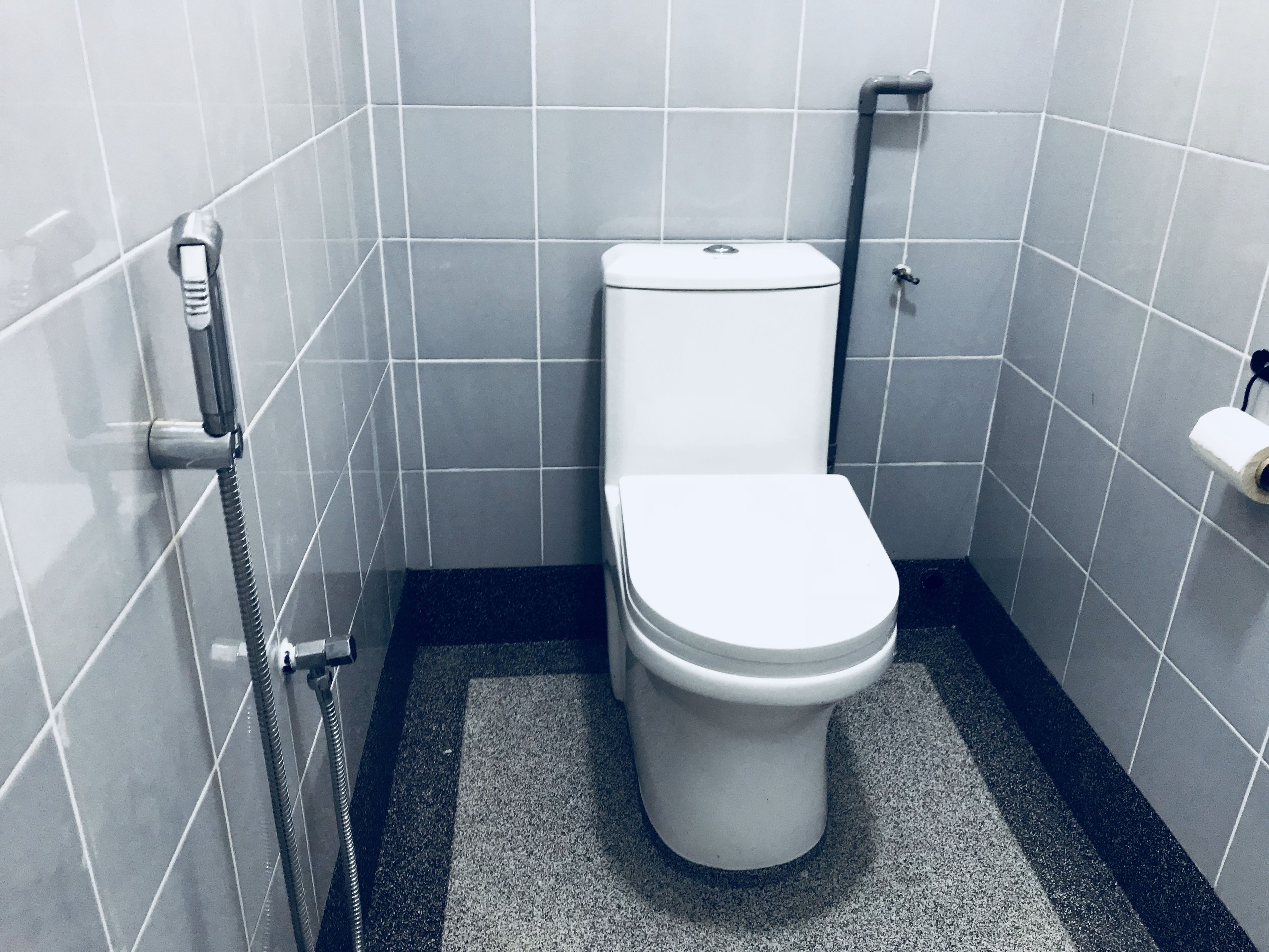 Een kleine, functionele badkamer met een wit toilet, een douchekop en een toiletrolhouder aan de wand.