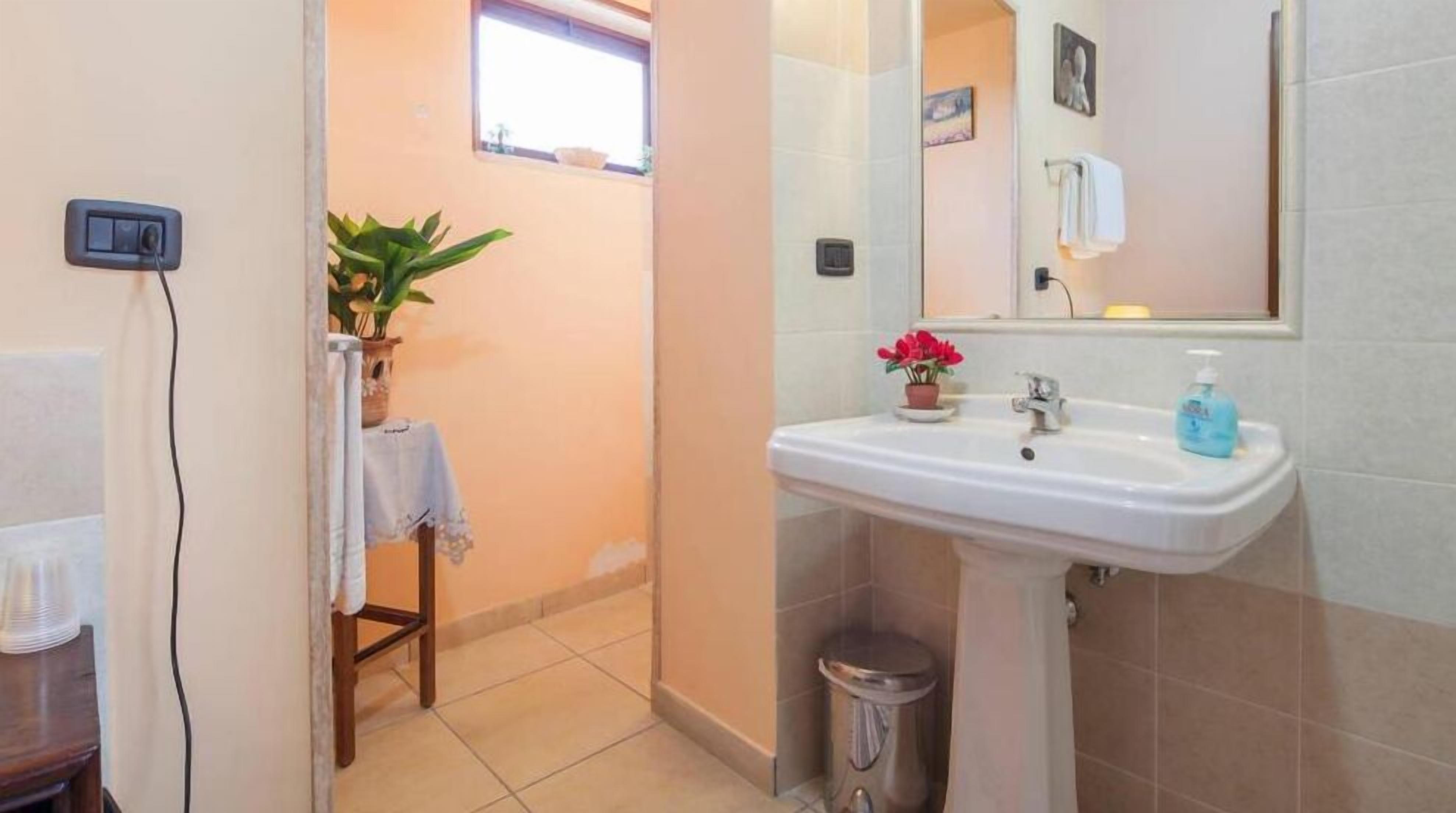 A bathroom with a white sink, a mirror, a small potted plant, and a trash bin.
