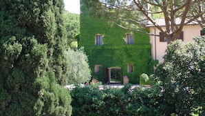 A building covered in green ivy, with a small window and a door. - Agriturismo Fattoria Il Casalone (Orbetello)