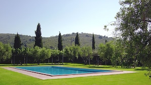 A rectangular swimming pool surrounded by a well-maintained lawn, with tall trees and a hilly landscape in the background. - Agriturismo Fattoria Il Casalone (Orbetello)