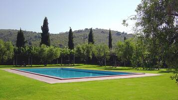 Outdoor pool, sun loungers