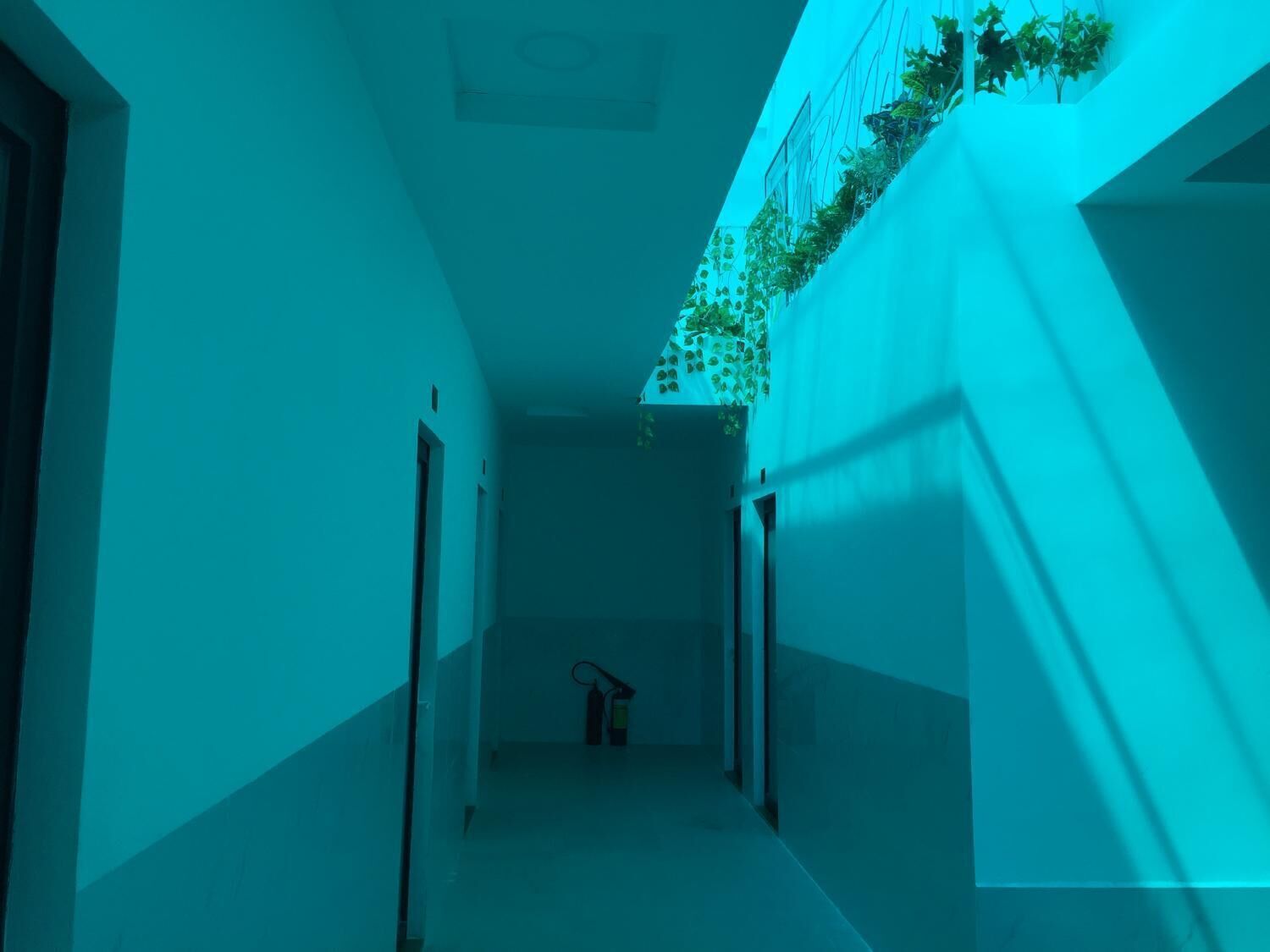 Un pasillo con un extintor en el suelo, una escalera con una instalación de plantas y una puerta a la izquierda.
