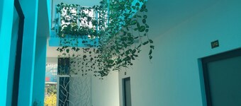 Mai Tuan Chanh Mon A Hotel