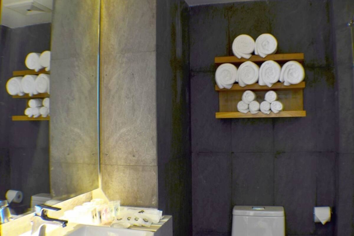 family suite | bathroom | shower, free toiletries, hair dryer, bathrobes