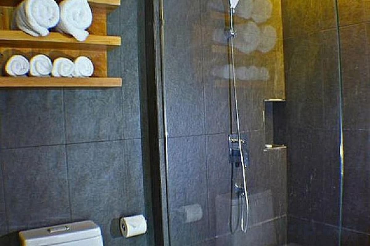 Shower, free toiletries, hair dryer, bathrobes