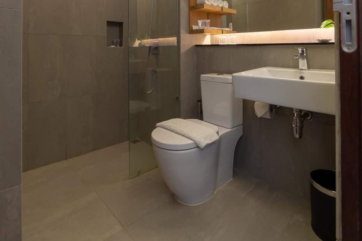 shower, free toiletries, hair dryer, bathrobes