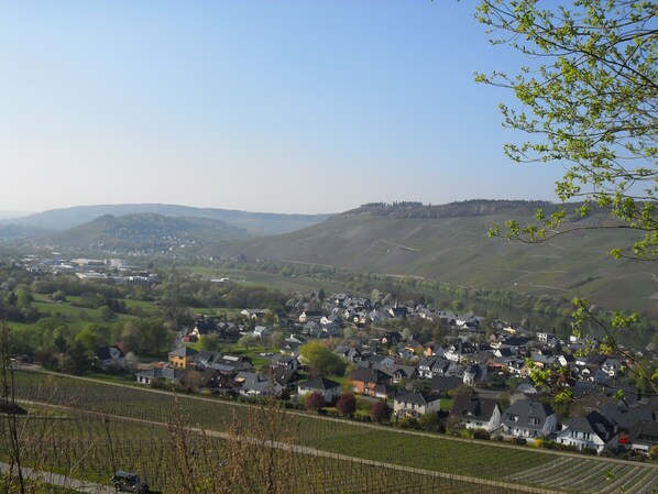A town nestled in a valley with vineyards, surrounded by hills.