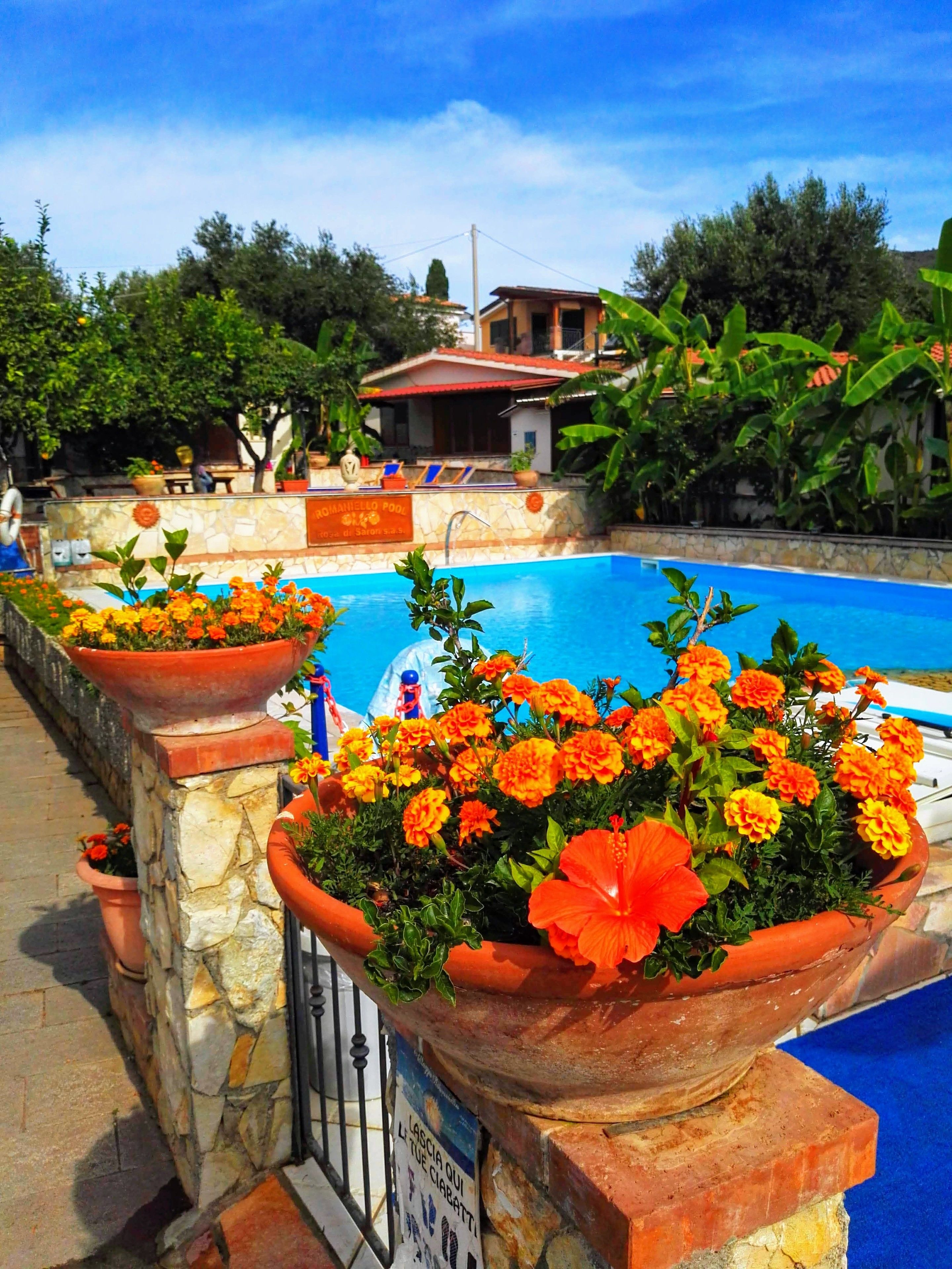 Seasonal outdoor pool, pool loungers