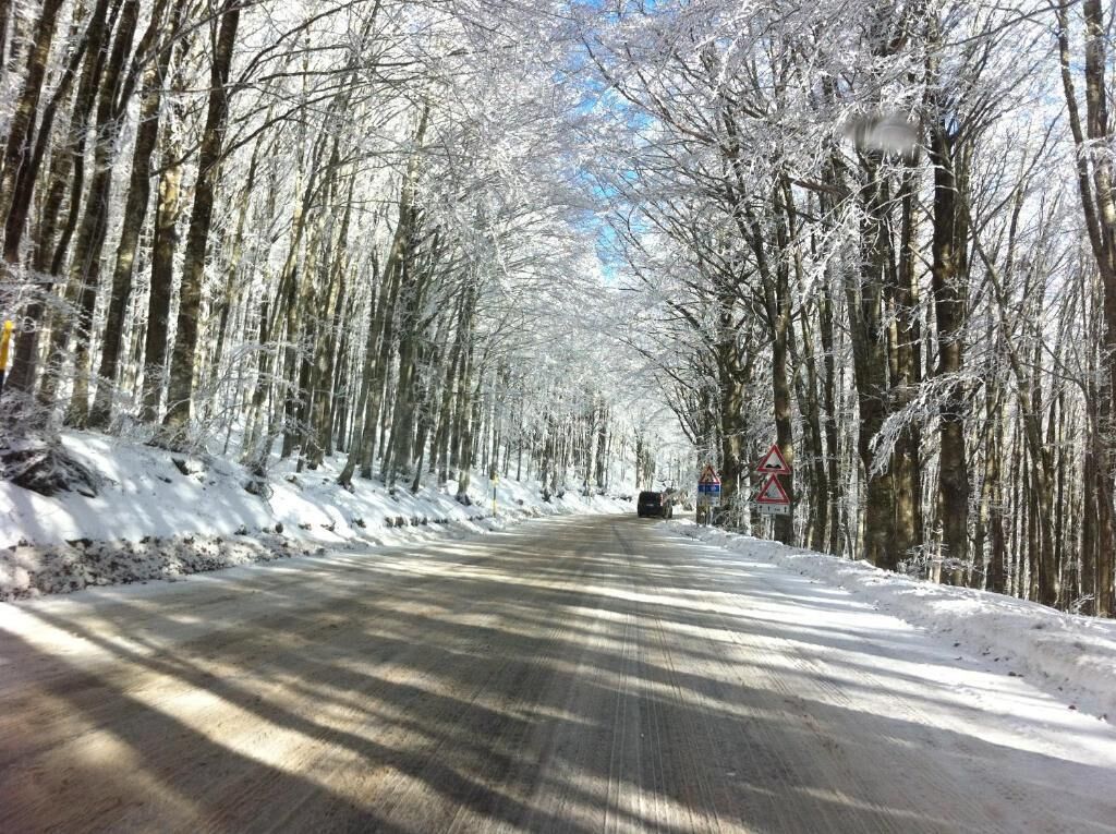 Eine schneebedeckte Straße, gesäumt von Bäumen.