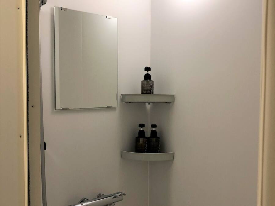 A small, well-lit bathroom with a shower, a mirror, and two bottles of shampoo on a shelf.