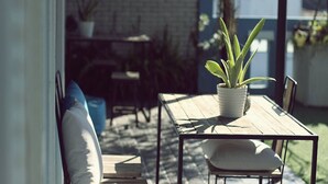 Un patio con una mesa y sillas de madera, una planta en maceta y un muro de ladrillo al fondo.